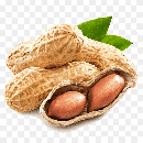 food Image